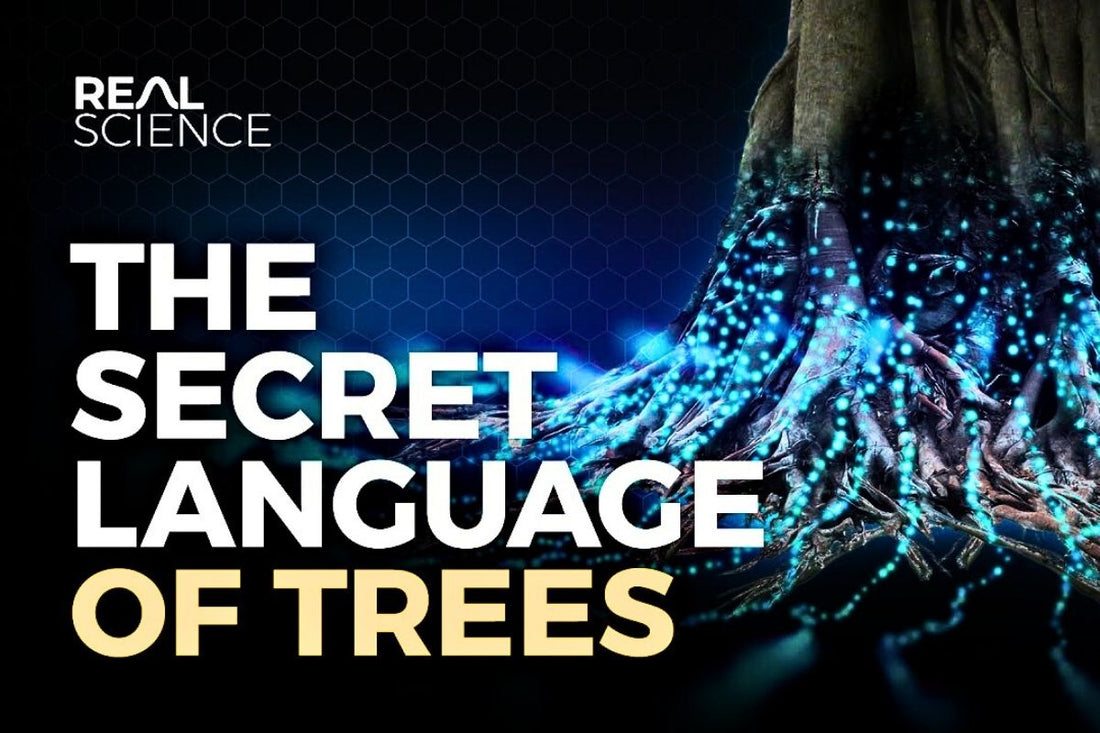 The Secret Language Of Trees Documentary