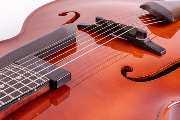 Birthplace of the Modern Archtop Guitar New York NY Places of Musical Invention