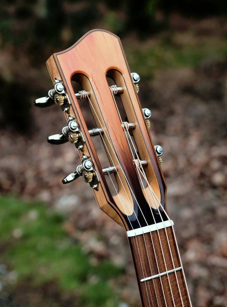 GA10 Headstock